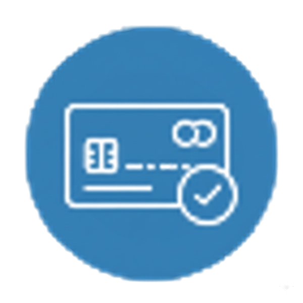 Check payment status